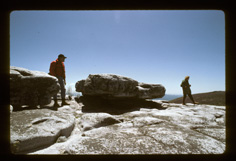Bear Rocks