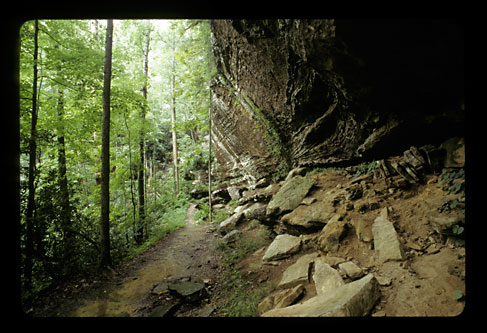 Part of the cliff next to the same natural bridge.